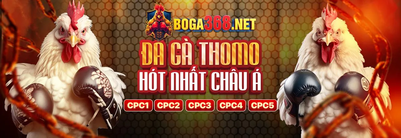 Đá gà trực tuyến 8kbetbuzz với các trận đấu kịch tính